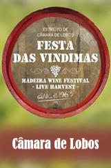 Festa das Vindimas no Estreito 2015